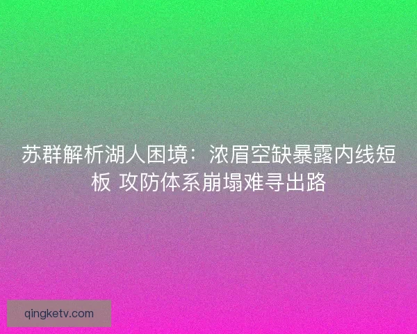 苏群解析湖人困境：浓眉空缺暴露内线短板 攻防体系崩塌难寻出路