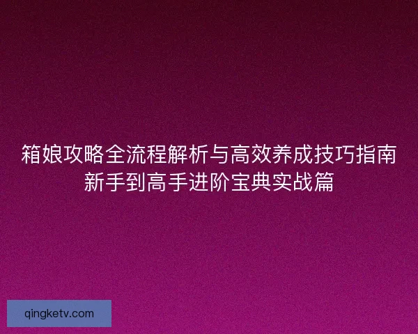 箱娘攻略全流程解析与高效养成技巧指南新手到高手进阶宝典实战篇