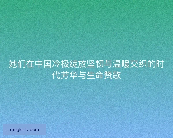她们在中国冷极绽放坚韧与温暖交织的时代芳华与生命赞歌